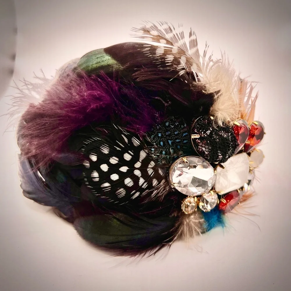 Beautiful Thin Headband Decorated w/Feathers & Crystals-Multicolored, Ne…